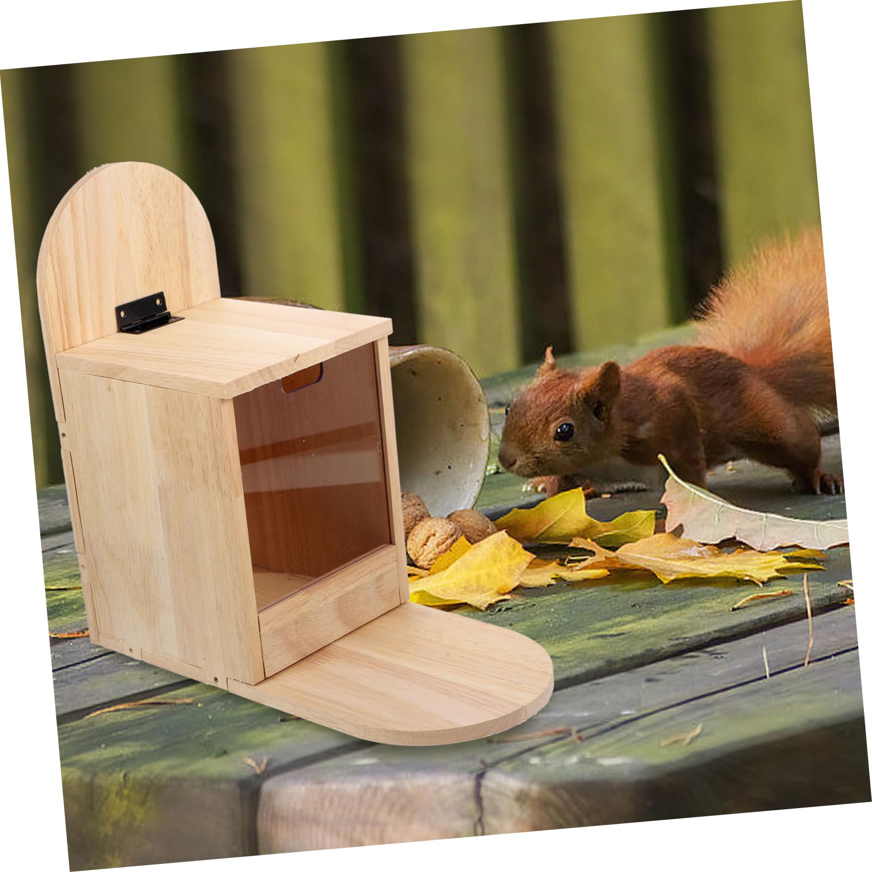 ibasenice Mangiatoia Per Scoiattoli in Legno Contenitore Per Cibo Per Scoiattoli e Uccelli Uso Esterno Nel Giardino Materiale Naturale Resistente e Riutilizzabile