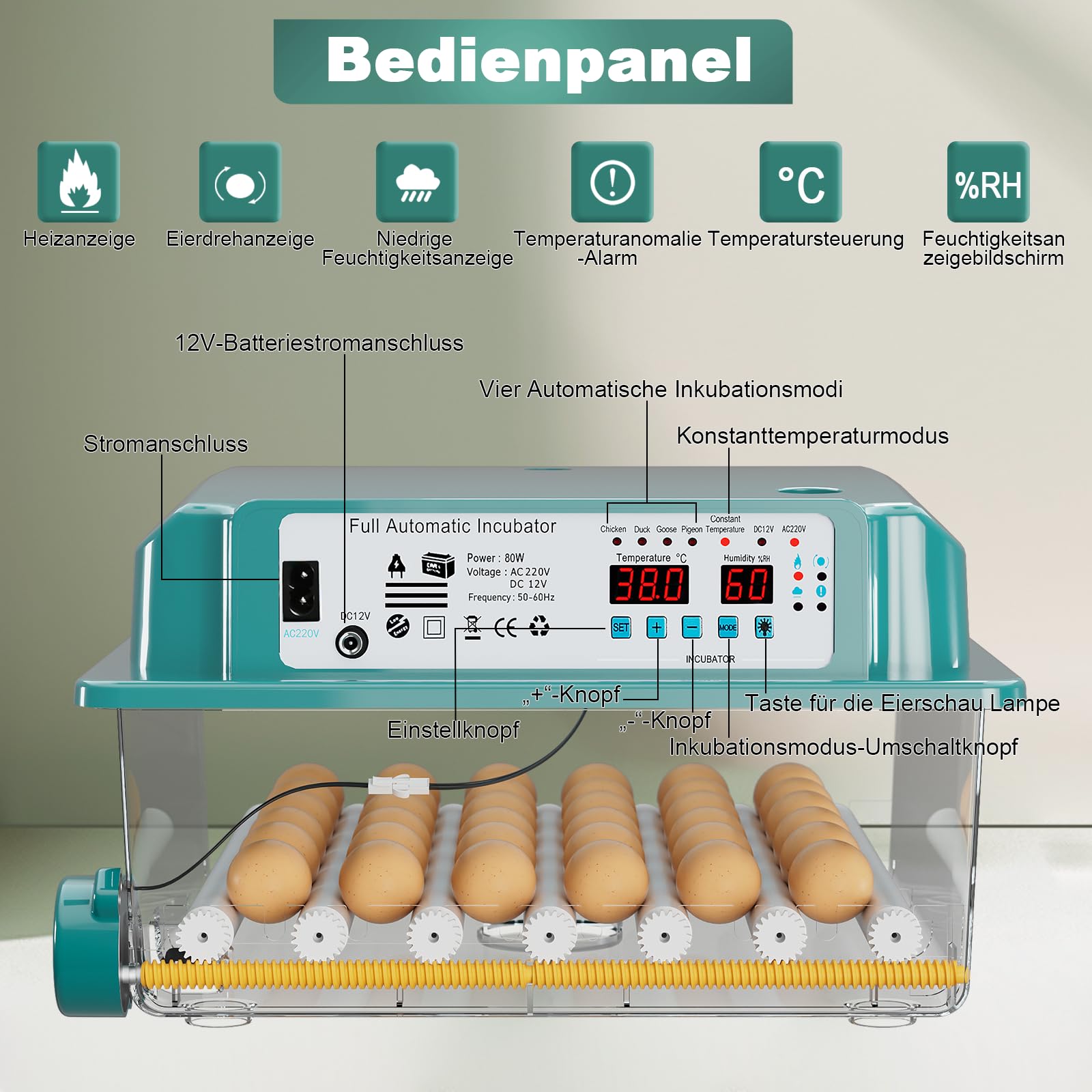 CoInceptus Brutautomat Vollautomatisch, Inkubator Hühner 24-36 Eier mit Automatischem Eierwenden und Automatischer Wasserzugabe, Brutkasten Hühner mit Vier Automatischen Inkubationsmodi