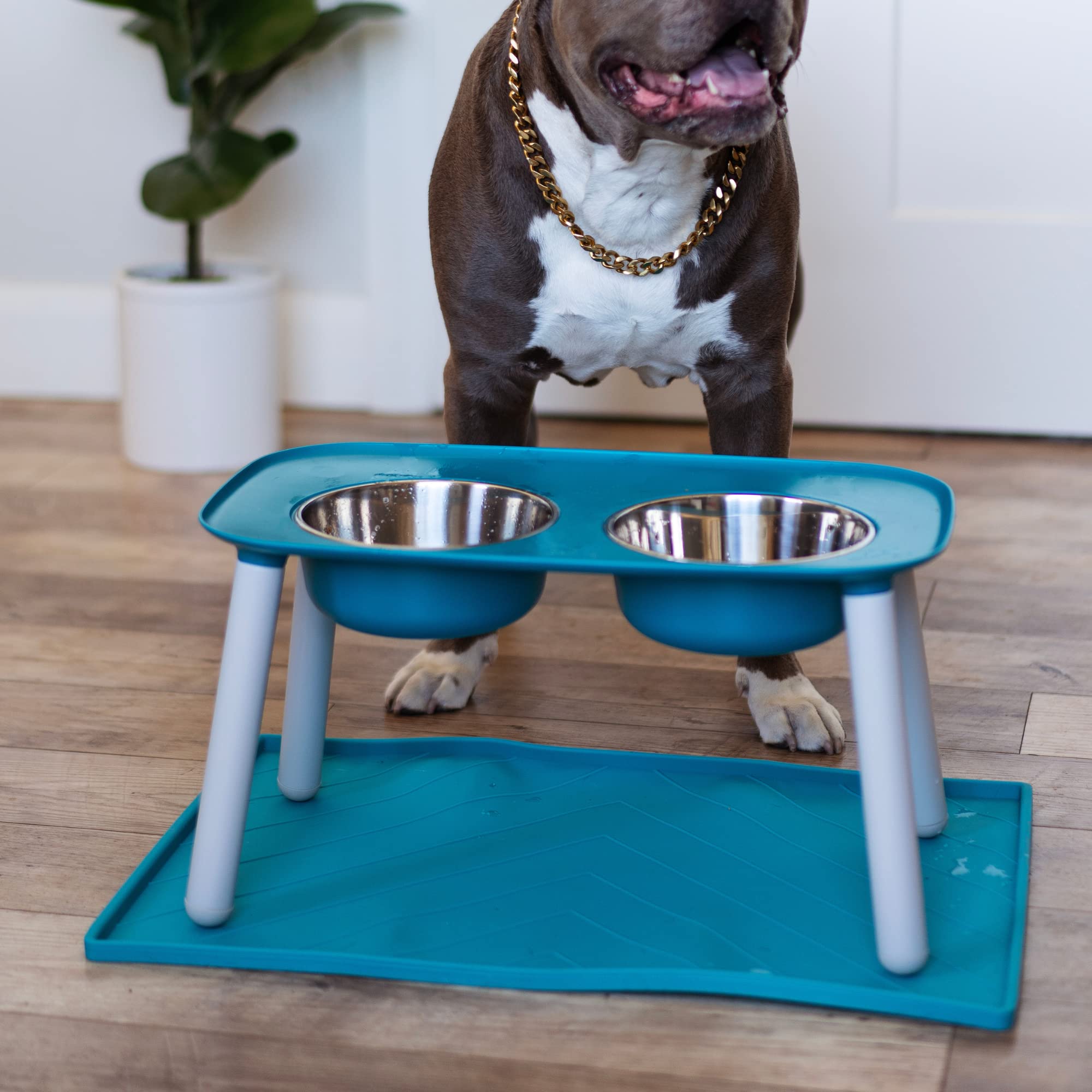Messy Mutts - Comedero doble para perro con cuencos de acero inoxidable extraíbles y altura ajustable de las piernas, 40 onzas/5 tazas por tazón
