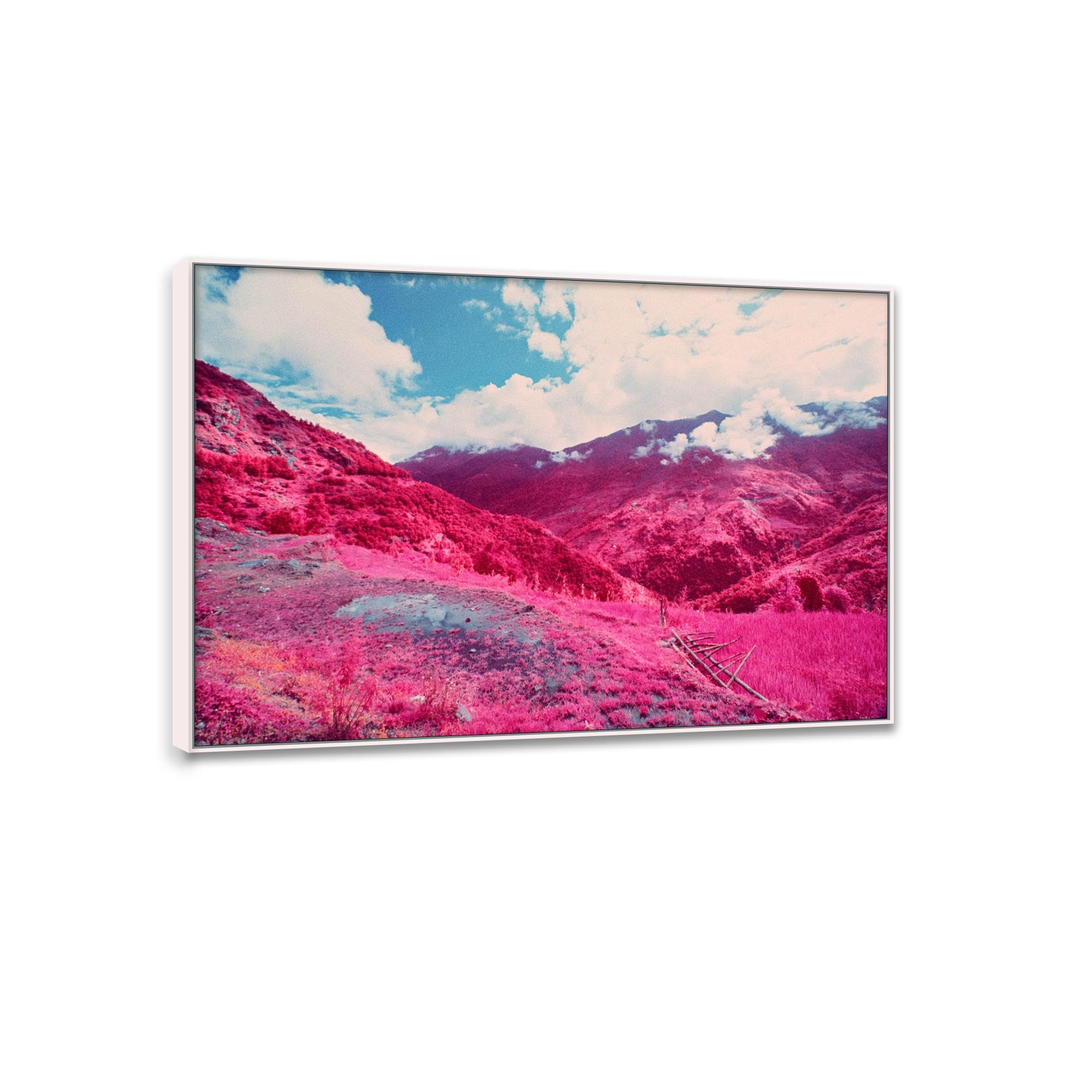 Affiches et impression nature de qualité supérieure paysage de forêt avec cadre blanc - 7