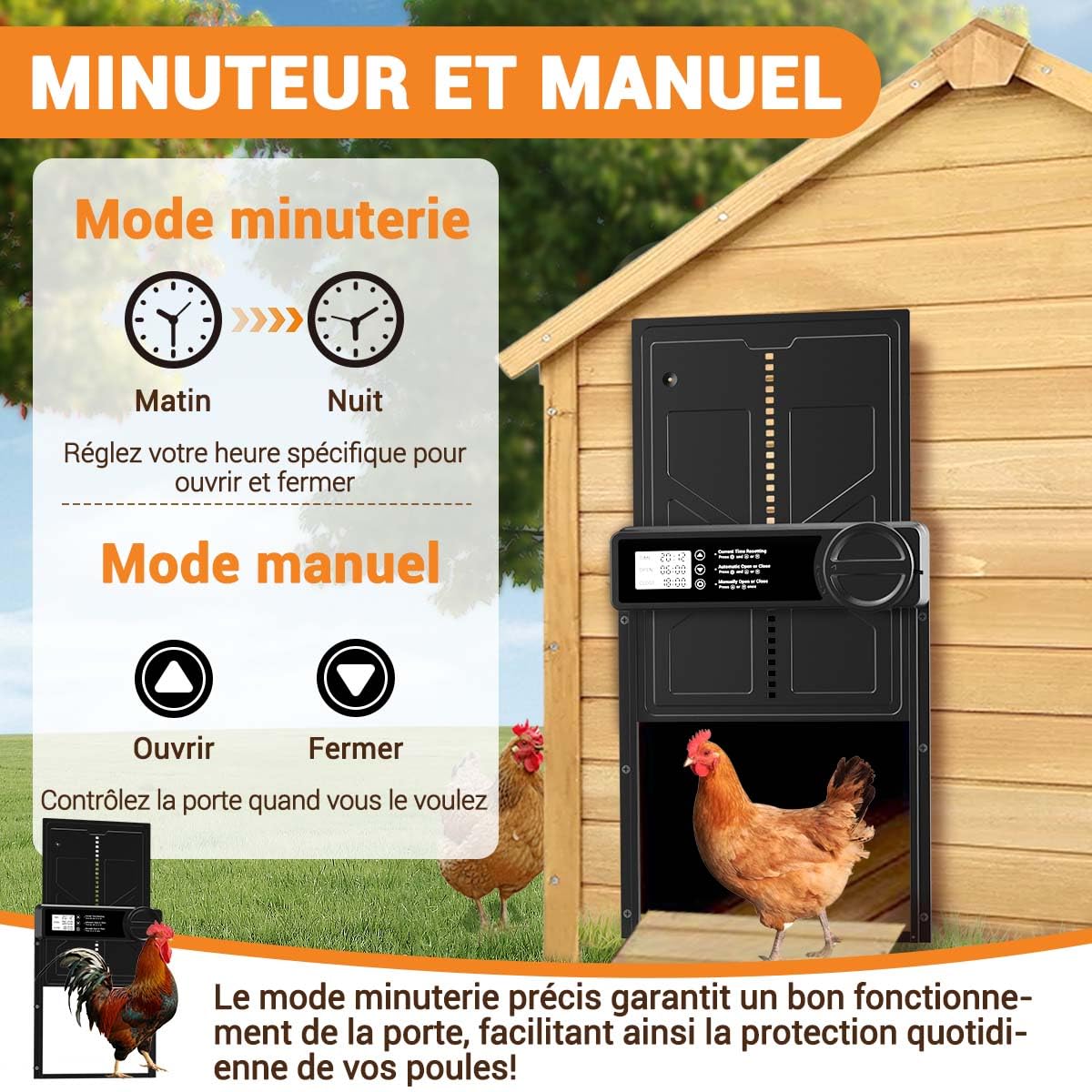 Porte Automatique Poulailler - Grande avec Minuterie du Matin/Soir, Porte Poulailler Automatique en Alliage d'aluminium, Porte Poulailler Anti-pincement Fonctionne à Piles
