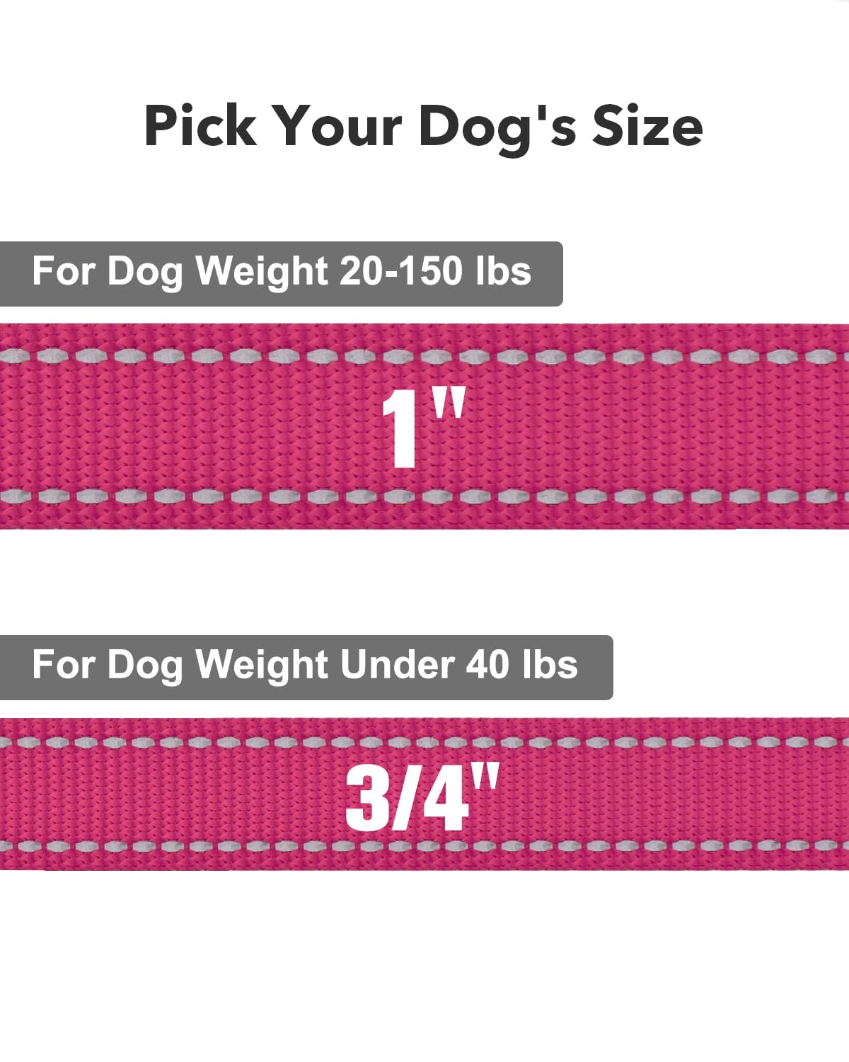 Taglory Guinzaglio per Cani Riflettente con Manico Imbottito e Gancio in Metallo, Nylon Resistente Addestramento Cane Guinzaglio, 1.2 m x 2.0 cm, Rosa Caldo