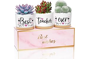 Adorable Cactus Teacher Gifts for Women and Men