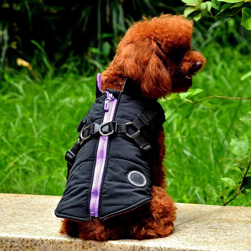 Norbi Pet Warm Jacket Small Dog Vest Harness Puppy Winter 2 in 1 Outfit Cold Weather Coat : Pet Supplies