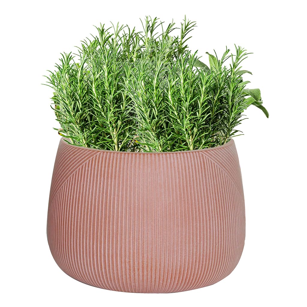 Fibre Clay Plant Pots 29cm Indoor/Outdoor Modern Rippled Finish Flower Pot Planters Patio Decking Lawn Doorstep Porch Houseplant Shrub Topiary Bush Plant Pot Clay Planters (Terracotta, Small 8.5L) — image 1