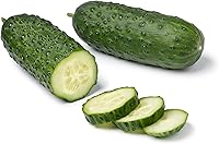 Marketmore 76 Cucumber Seeds - 50 Heirloom Non-GMO USA Grown Heat-Tolerant Slicer Cucumbers by RDR Seeds