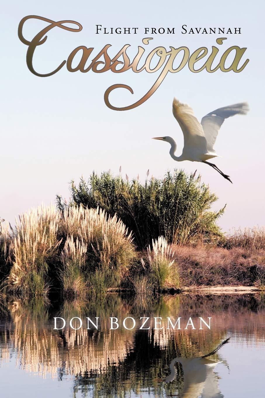 Cassiopeia: Flight from Savannah