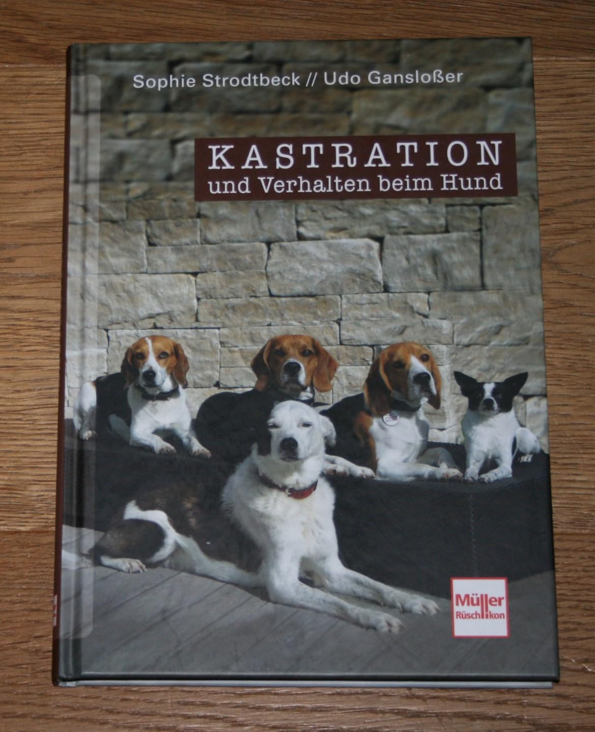 Kastration und Verhalten beim Hund - Eine Entscheidungshilfe