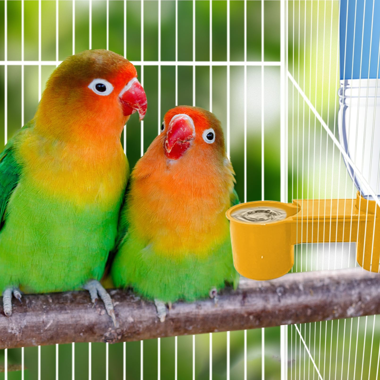 kathson 20 Pcs Bird Drinker Feeder Plastic Soda Pop Water Bottle Cup Ideal for Chicken Pigeons Birds Feeder Trough Animal Feeding Accessories(Yellow)