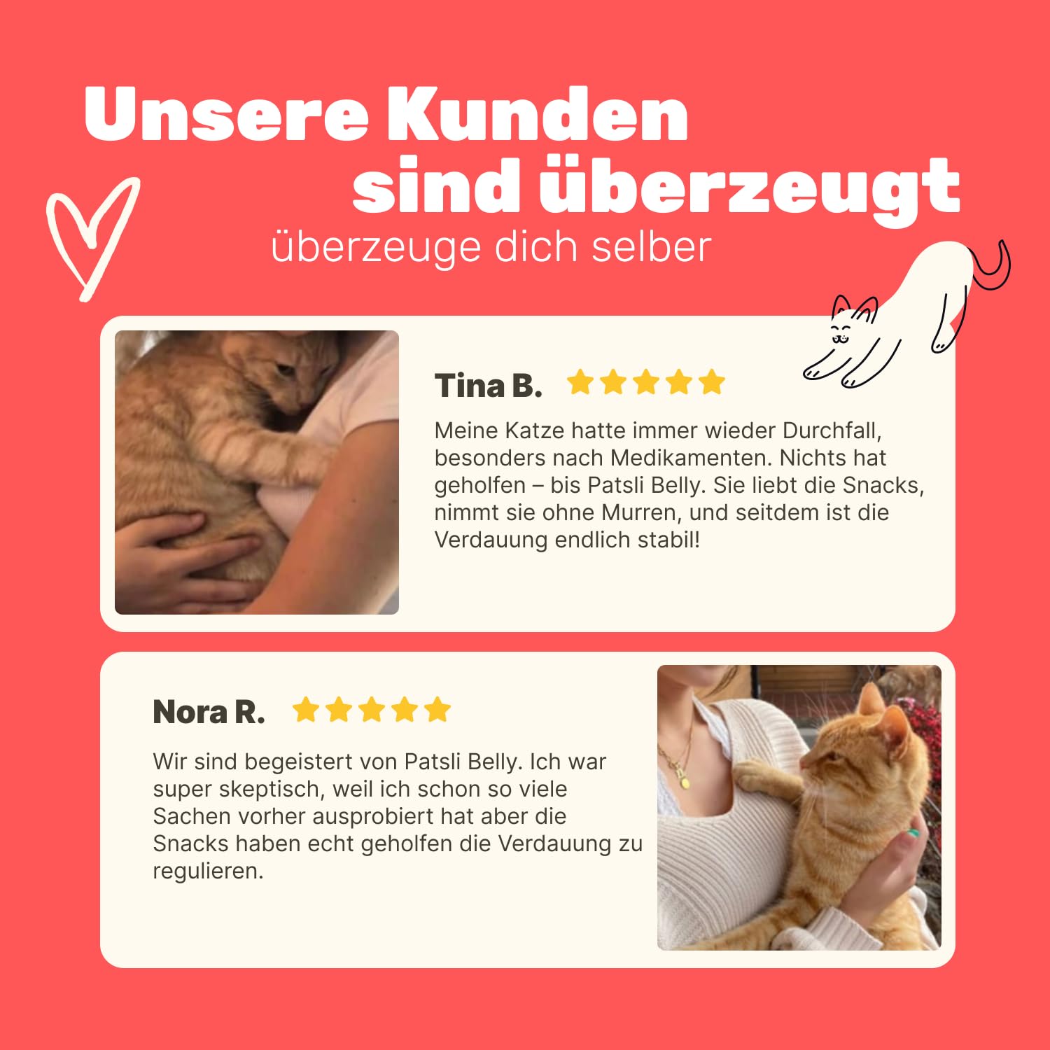 9-in-1 Probiotika für deine Katze | Unterstützt die Verdauung von Katzen | Ergänzungsfuttermittel für Katzen | Bei Durchfall Katze | Flohsamen & Löwenzahnkraut | Tierärztlich entwickelt | Patsli Belly