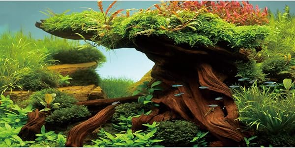 MIRRORANG 120x50cm Bois Fish Tank Fond algues Aquarium Fond rivière lit et lac Aquarium Fond Vinyle Fond - 1