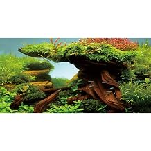 AWERT 48x24 inches Wood Fish Tank Background Seaweed Aquarium Background River Bed & Lake Aquarium Background Vinyl Background