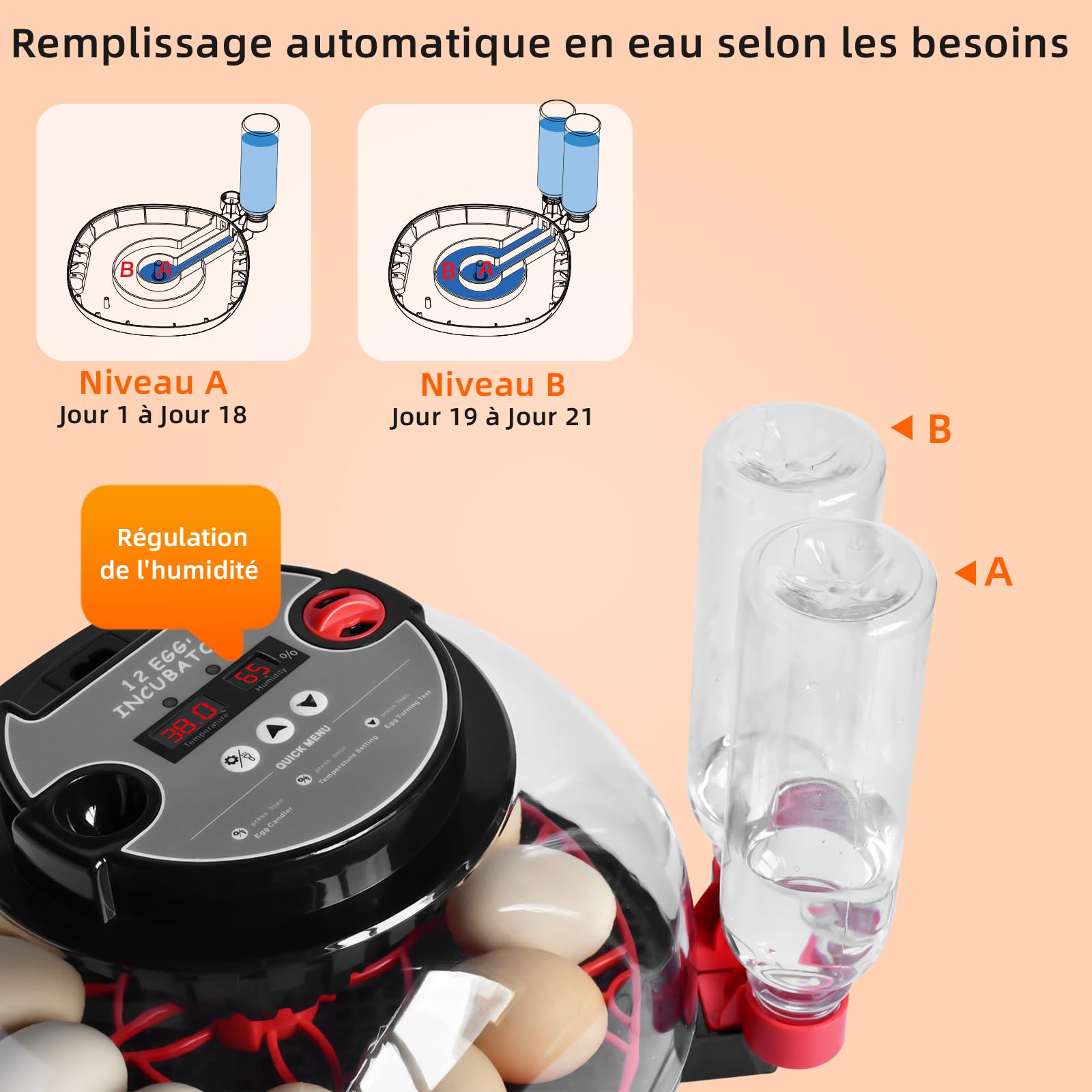 Couveuse Oeuf Automatique, Incubateur Automatique 12 Oeufs, avec Système de Retournement Automatique et Contrôle de la Température,Affichage de l'humidité, pour Éclosion d'Œufs de Poule Canard Caille