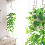 Mkono Fake Hanging Plant with Pot, Artificial Plants for Home Decor Indoor Macrame Plant Hanger with Fake Vines Greenery for Bedroom Bathroom Kitchen Office Decor, Ivory (Pothos)