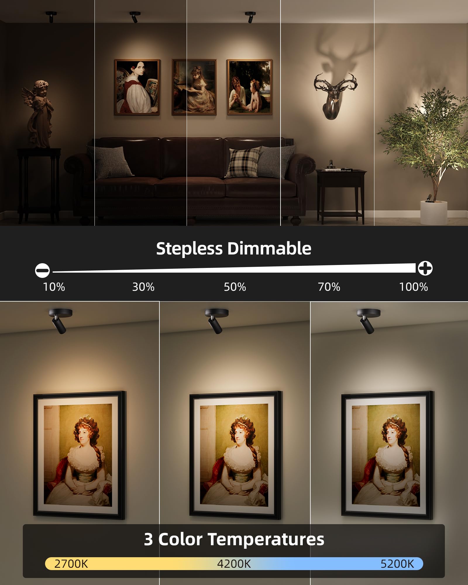 EZVALO Faretti per interni con telecomando, 5500 mAh, luci per immagini ricaricabili a LED, wireless con timer e dimmerabile, 3 CCT, luci di visualizzazione per pittura di piante, opere d'arte