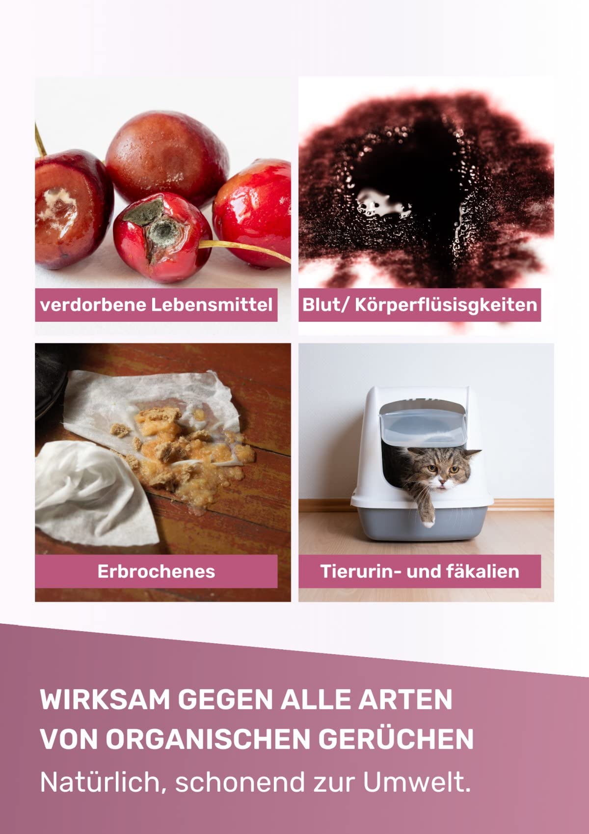 DLexa Geruchsentferner und Reiniger 5 Liter Kanister (Enzymreiniger, Teppichreiniger, Polsterreiniger entfernt Urin, Kot, Moder, Milch)
