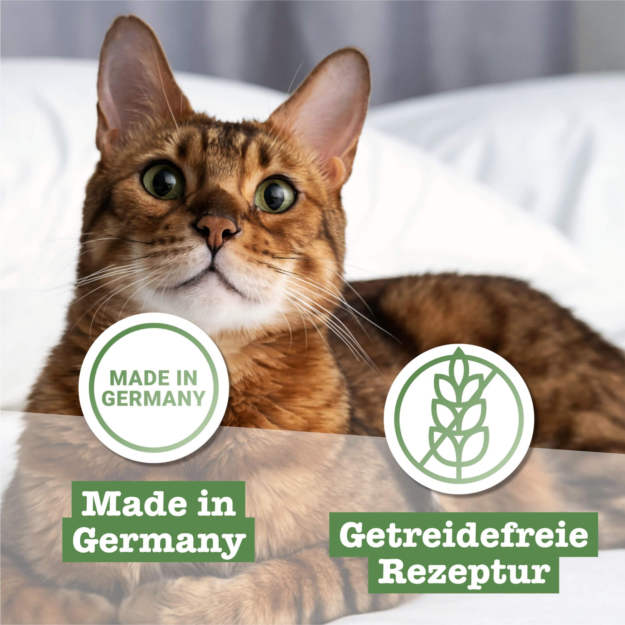 catz finefood Classic N° 15 mokra karma dla kurczaków i bażantów - Gourmet mokra karma dla Twojego kota bez cukru i zbóż, bezglutenowa – z dużą zawartością mięsa, Made in Germany (6 x 800 g puszek)