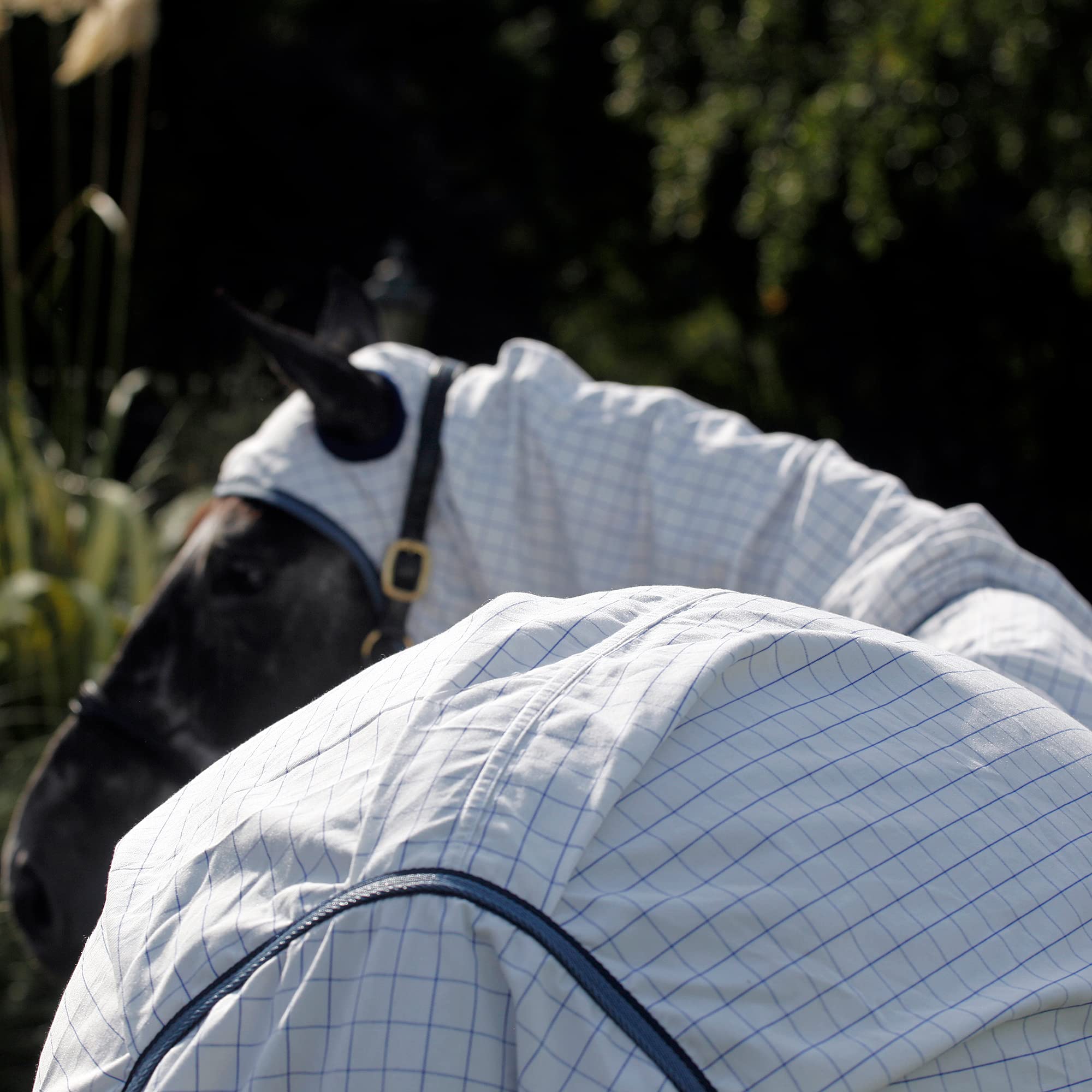Ruggles Fly Rug & Neck Cover For Shetland Pony Donkey Section A And Miniature Horse |Lightweight Breathable Mesh | Excellent Protection From Bugs, Flies And Biting Insects (2' 9