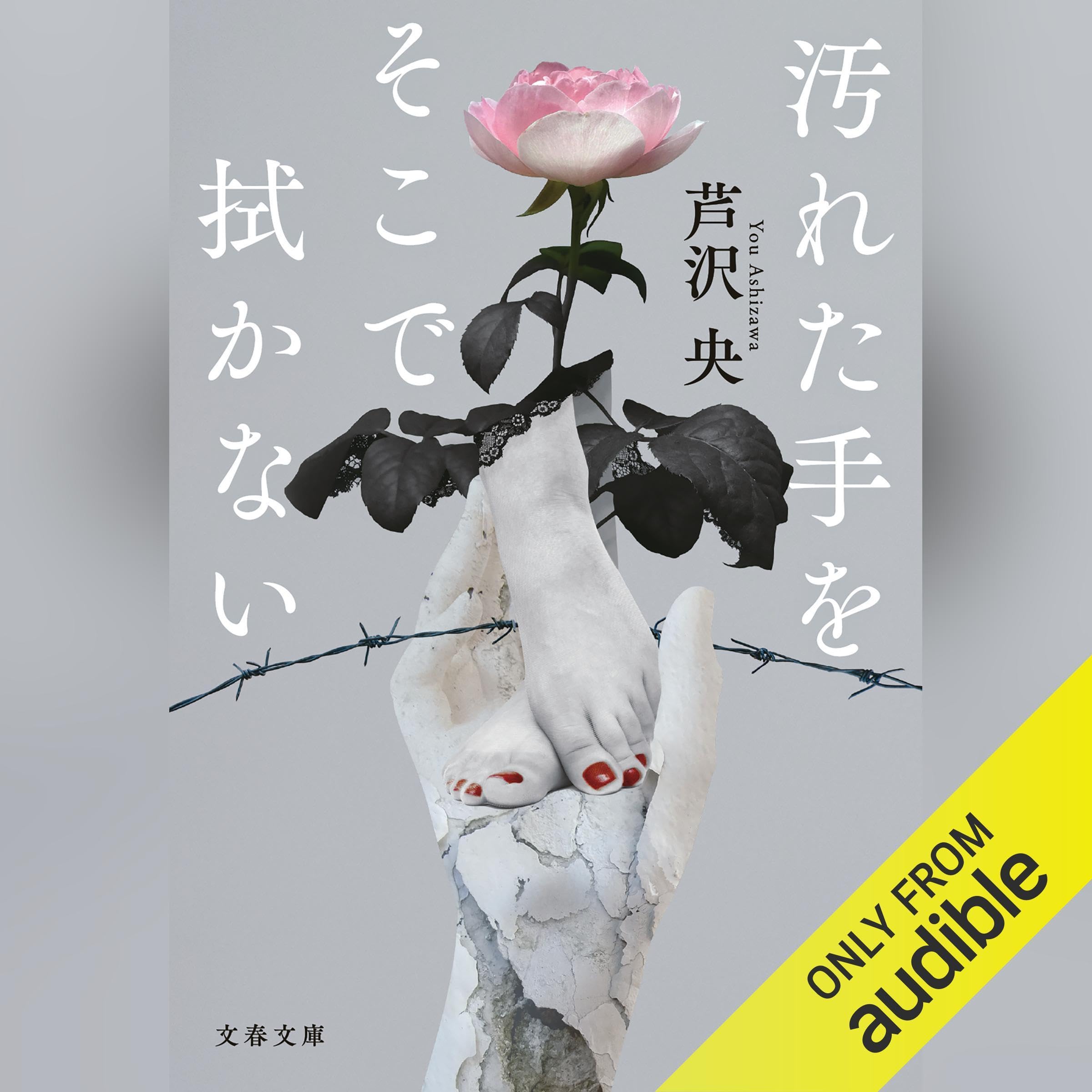 【極美品】芦沢央 初版単行本7冊セット 711LLXdxkDL.jpg