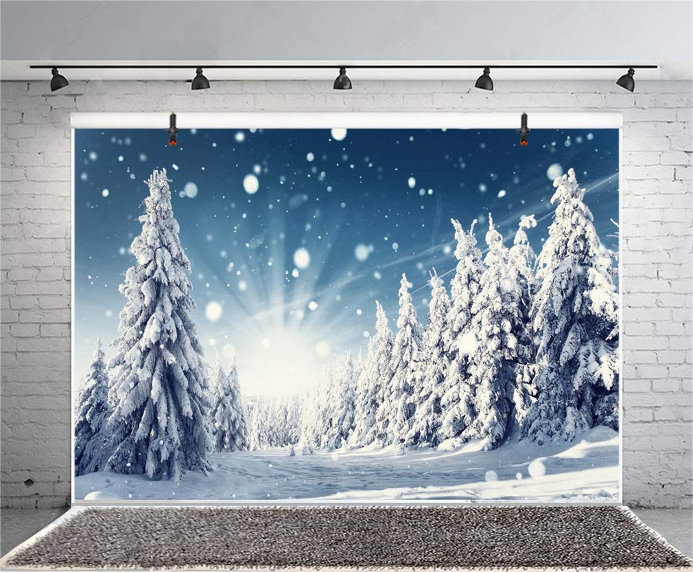 Paesaggio invernale nel bosco innevato natale sfondo con alberi e sfondo sfocato dell'inverno Paesaggio invernale nel bosco innevato natale sfondo con alberi e sfondo sfocato dell'inverno