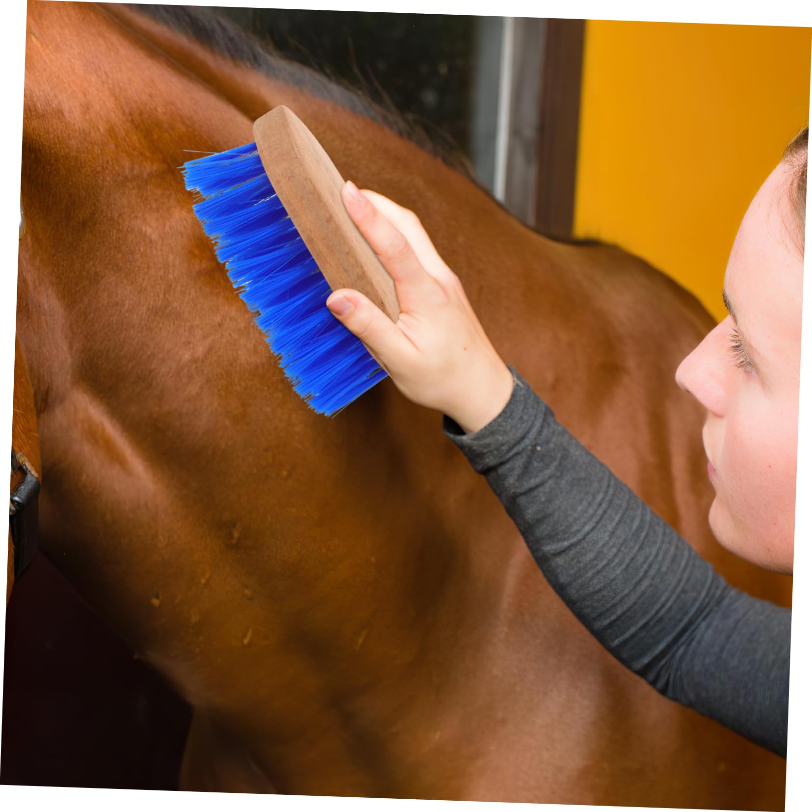 GALPADA 5 Cepillos Para Caballos Cepillo De Limpieza Para Ganado Y Caballos Peine Para Pelo De Caballo Herramienta Para La Muda De Pelo Cepillo De Crin Suministros Para El Cuidado De