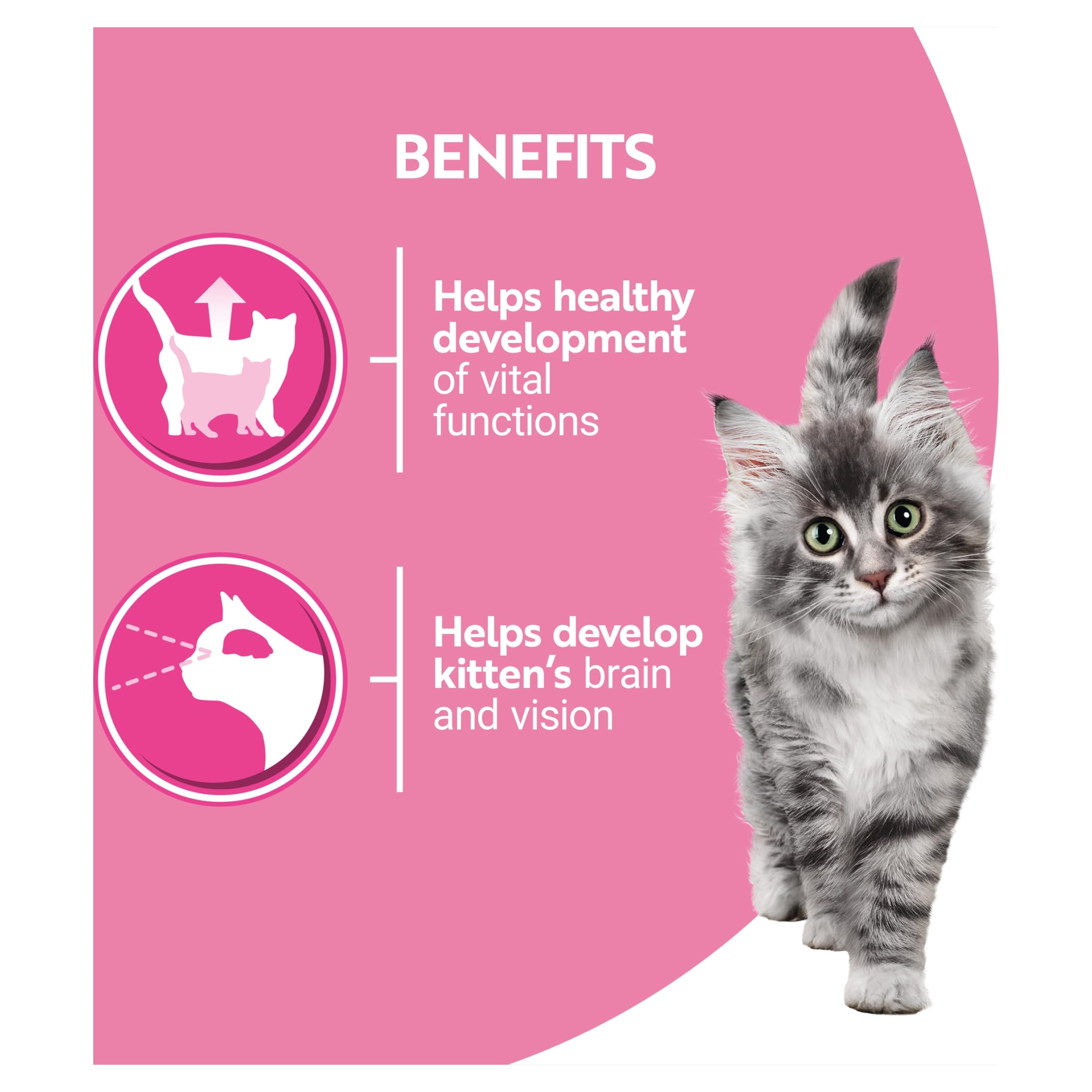 PURINA ONE Kitten Mini Fillets Salmon and Chicken Wet Cat Food 8x85g (Pack of 5)