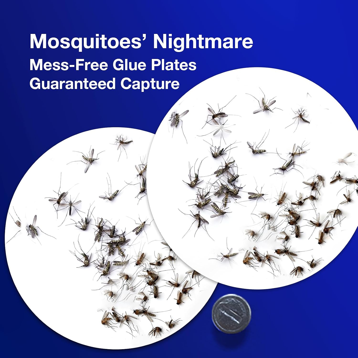 ZingZap Indoor Mosquito Trap Magic Magnet Double-Bait, 2X More Effectively Lures and Captures Mosquitoes & Gnats, Flying Insect Trap, Dusk/Dawn Smart Auto-Switch, Non-Toxic and Safe image 5