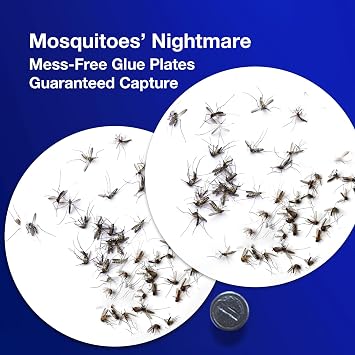 ZingZap Indoor Mosquito Trap Magic Magnet Double-Bait, 2X More Effectively Lures and Captures Mosquitoes & Gnats, Flying Insect Trap, Dusk/Dawn Smart Auto-Switch, Non-Toxic and Safe
