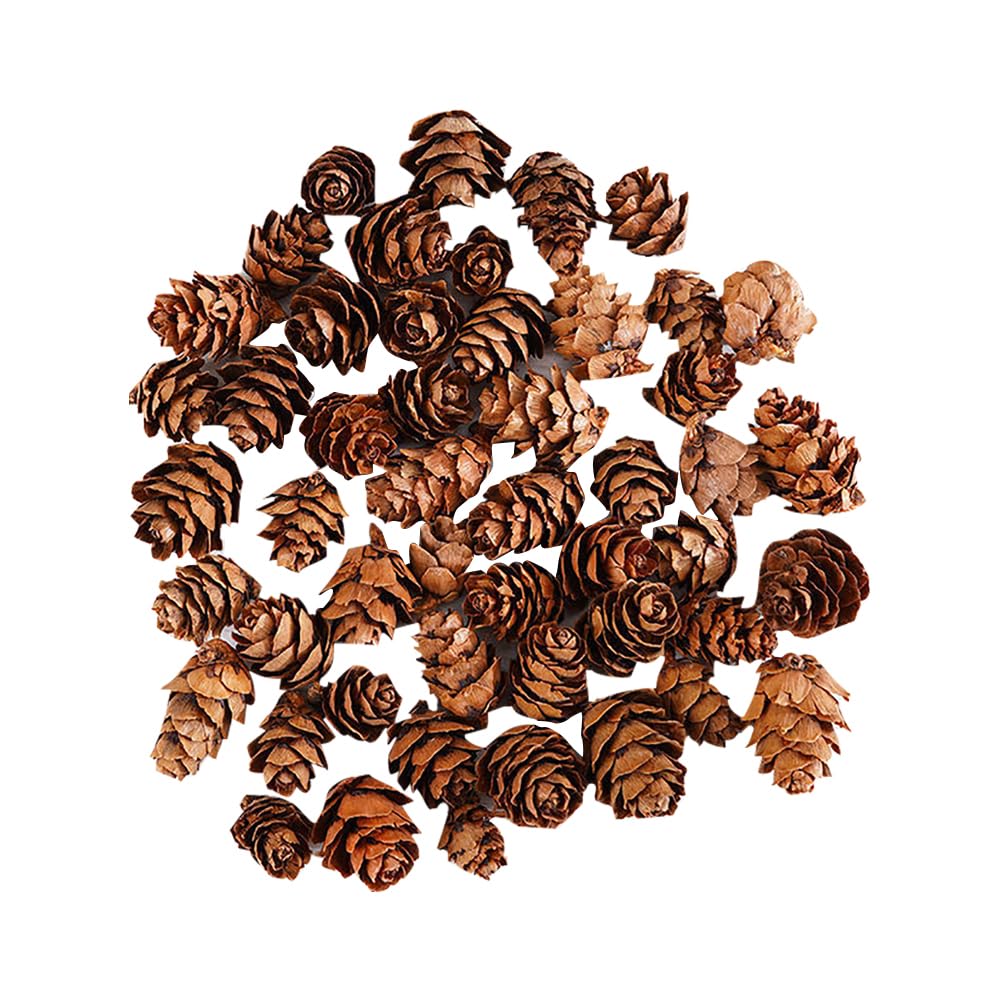 HugeDE 100 Pcs Christmas Pine Cones Small Natural Pine Cones Winter Pinecone Ornaments Mini Rustic Pinecones Xmas Tree Pinecones for Home Decor