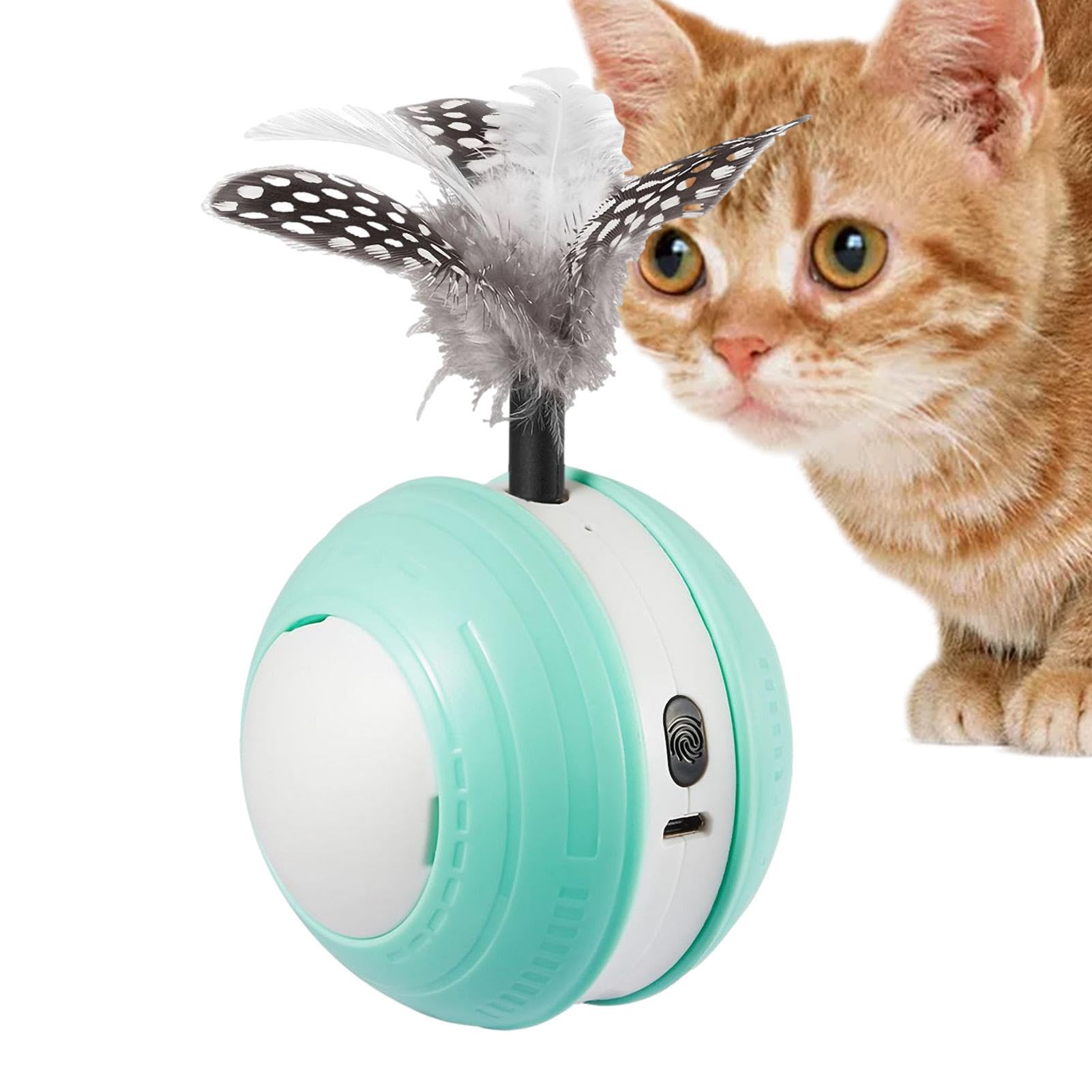 Balle électrique pour chat et jouet interactif rechargeable USB pour stimulation féline