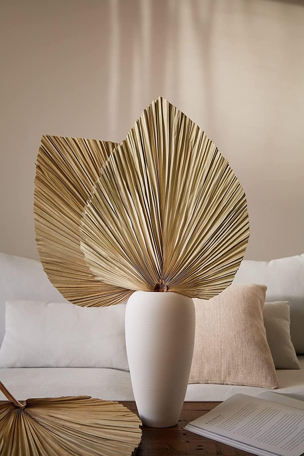 Getrocknete Palmblätter 5Pcs 18" große natürliche getrimmte Palme Speer Tropische Palmblätter Fans Boho Hochzeit Dekor Hawaiian Luau Party Urlaub Küche Tisch getrocknete Blumen Pampasgras Dekoration