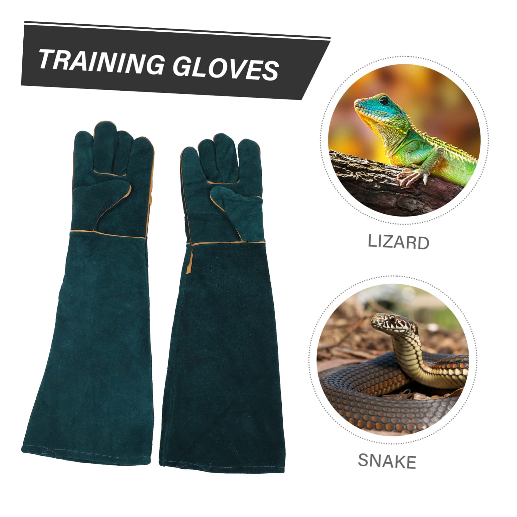 Yardwe 2 Piezas Guantes Anti-mordedura Crawler Guantes Antideslizantes Guantes de protección para Reptiles Mascota Tocar Estuche Protector Guantes de Entrenamiento Cuero
