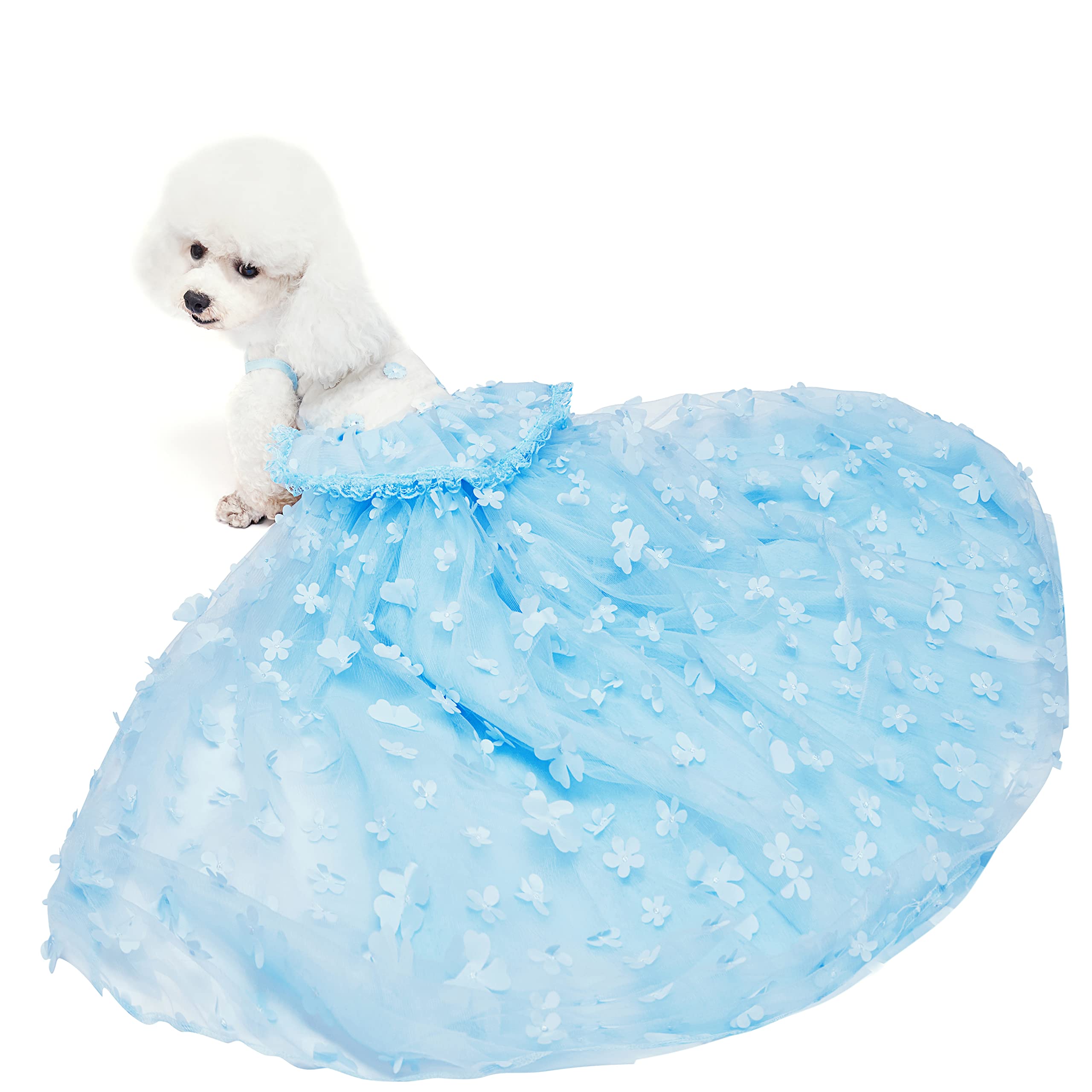 Amazon.com : Dogs Wedding Dresses Flower Tutu Skirt with Detachable Train  for Small Medium Dog Pet Outfit Formal Apparel Princess Clothes for  Birthday Party Costume (Blue Set, M) : Pet Supplies