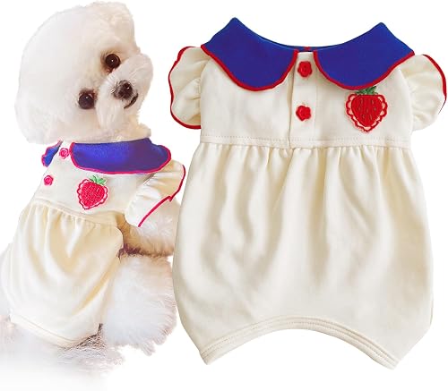 【意外と知らない】犬服を嫌がる子への正しい着せ方と慣れさせ方