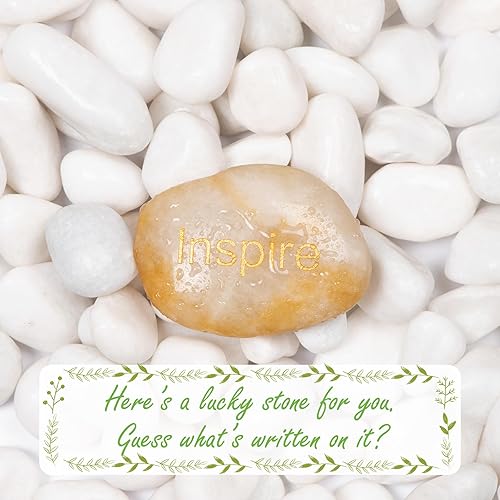 Miniatura 3 de Ausluru Piedras naturales de río pulidas de 5 libras para plantas y jardines, ideal para peceras, jarrones, suculentas, manualidades, decoración del