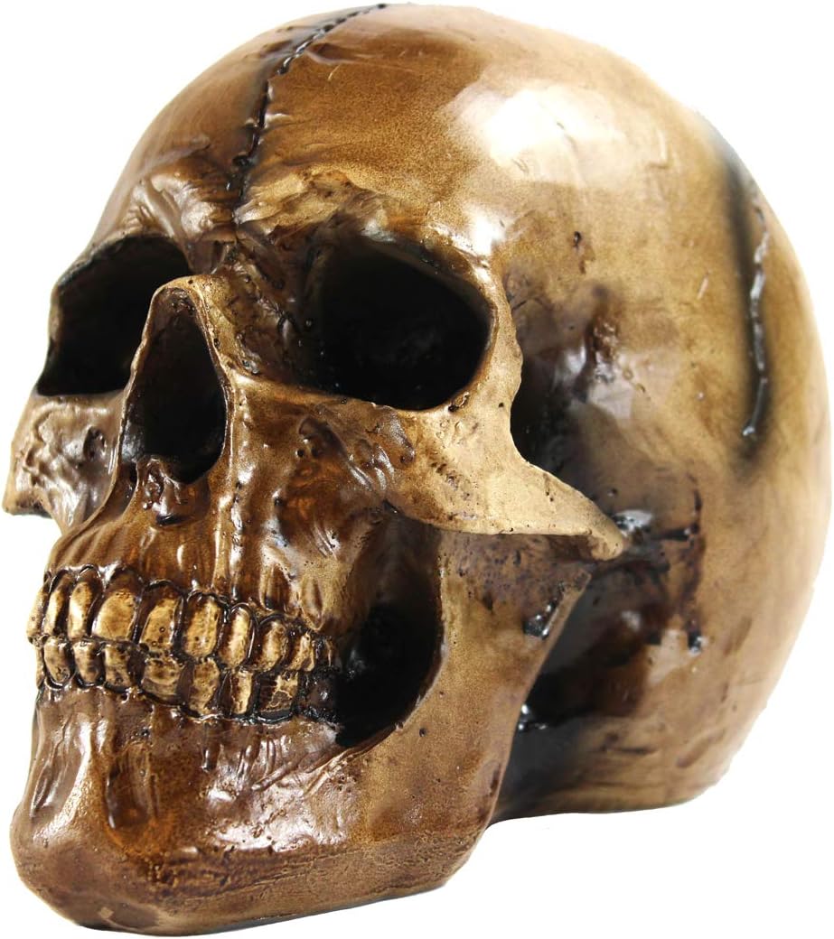 Seraphic Scary Halloween Human Skull Decor Statue/Sculputure, Brown