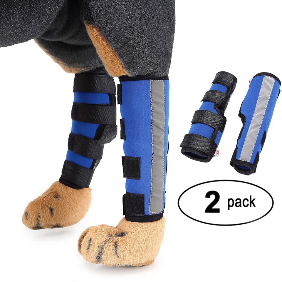 Amazon.fr protege genoux Chiens Animalerie