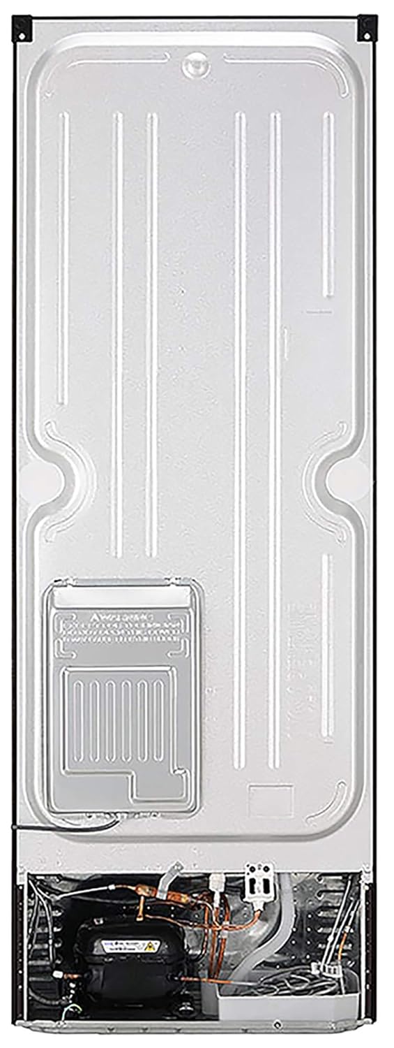 뒤쪽에 view of the LG GL-T322RASN Refrigerator, showing the compressor and condenser coils at the bottom.