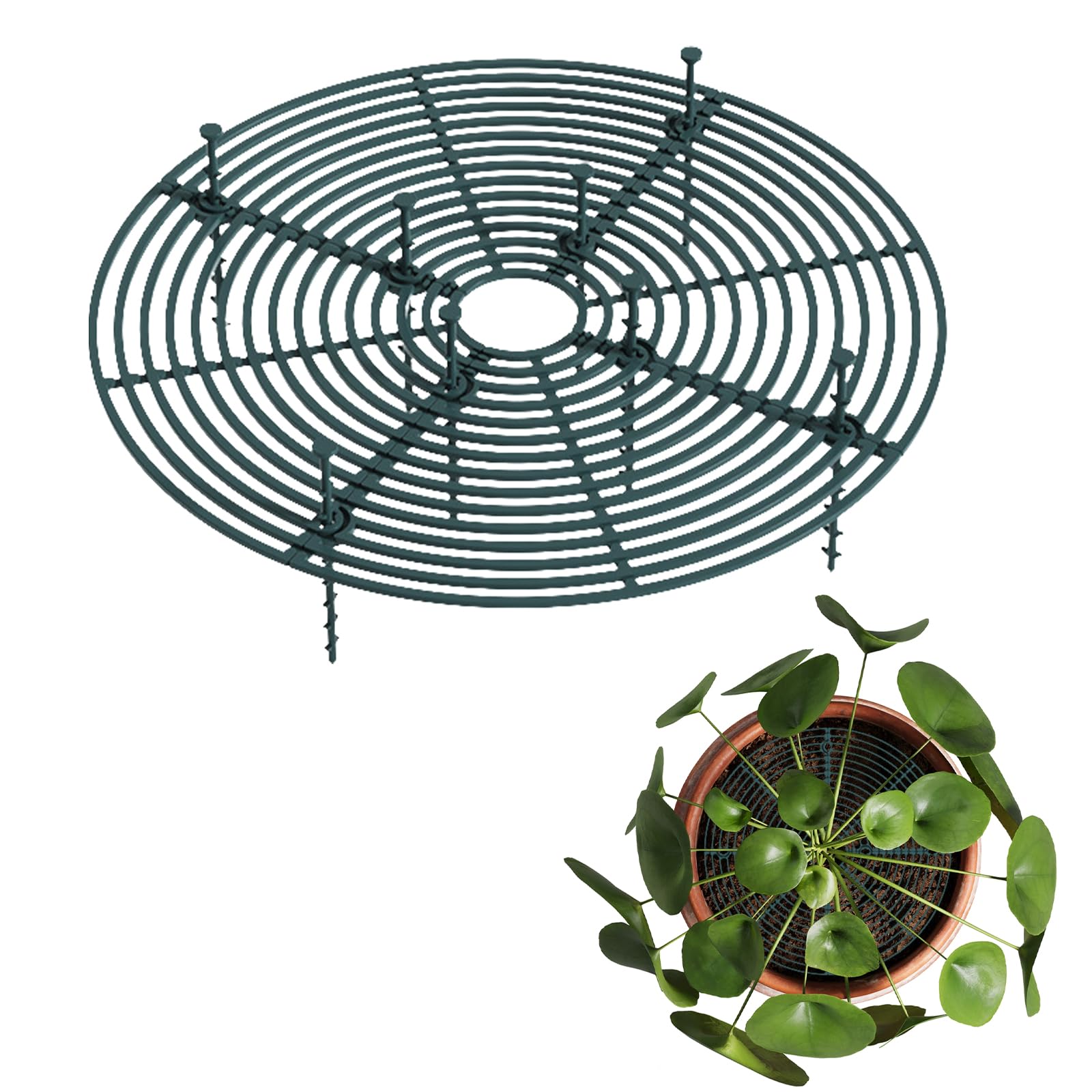 2 Pieces Plant Protection Grids, 30 cm Protective Grid for Flower Pots, Plastic Cuttable, Brown Square/Round Protection for Children, Pets (Dark Green Round)-image-12