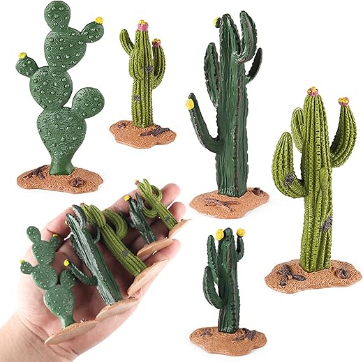 Cacti & Succulents