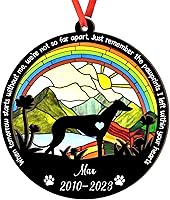 Vista 11 de Adorno de atrapasoles de setter irlandés personalizado, adorno de Navidad de Setter irlandés, regalo para perro amante, setter irlandés