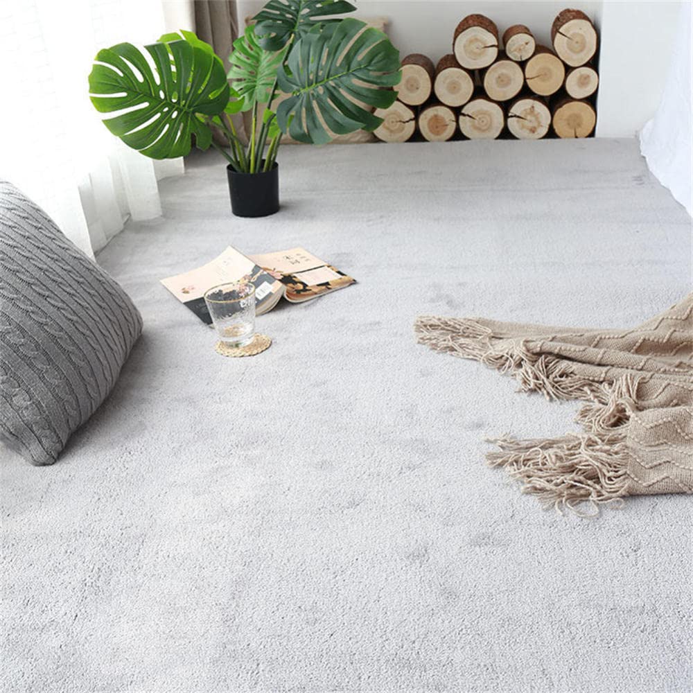 Tapis antidérapant durable LUNEZY poils courts facile à nettoyer