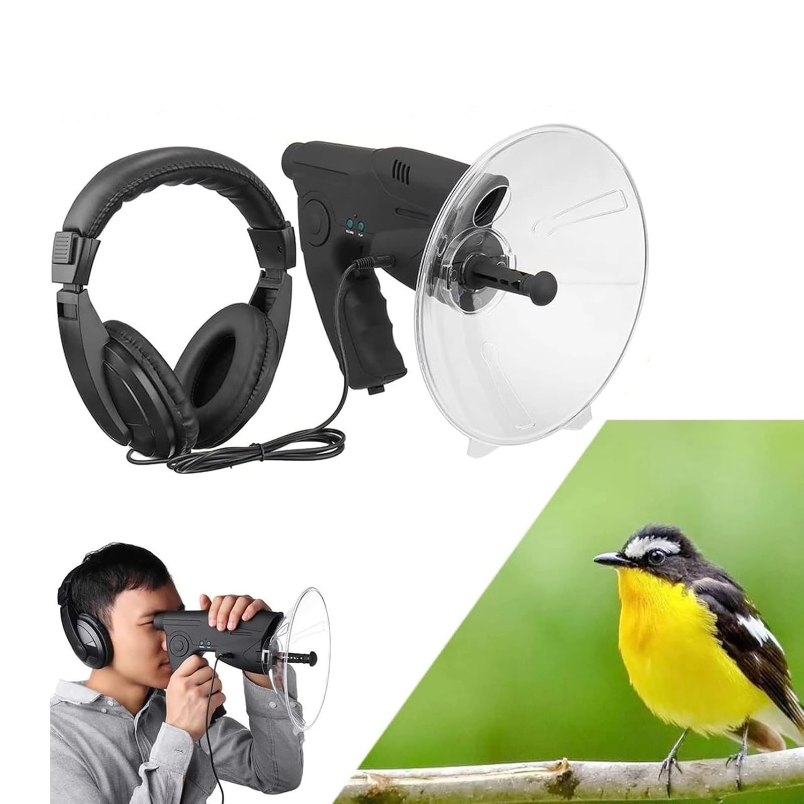 Microphone Parabolique Directionnel + Télescope 8x21 - Écoute Et Enregistrement Oiseaux