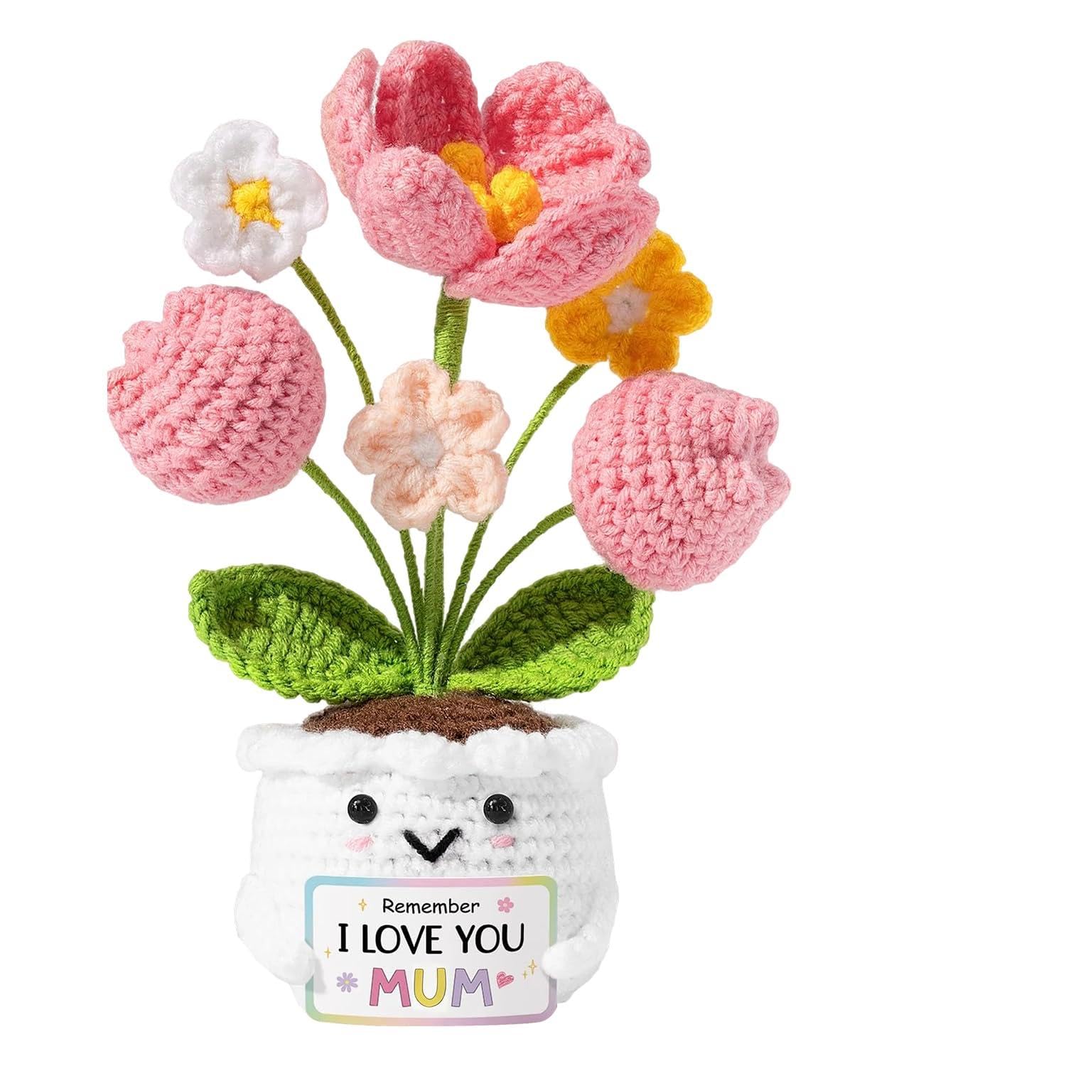 Xheanxu for Mum - Handmade Crochet 6 Assorted Cute Flower, Mum Gifts from Daughter Son, Great for Home Decoration, Presents for Mummy for Christmas, Birthday, Mother's Day, Thanksgiving