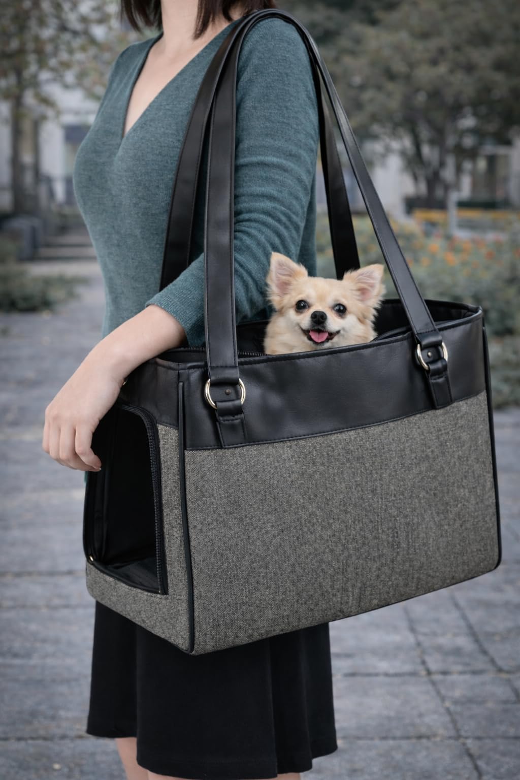 Transportín Gato – Perro – Lior – Bolsa en Textil con ventilación, Base Desmontable y Bolsillo Lateral
