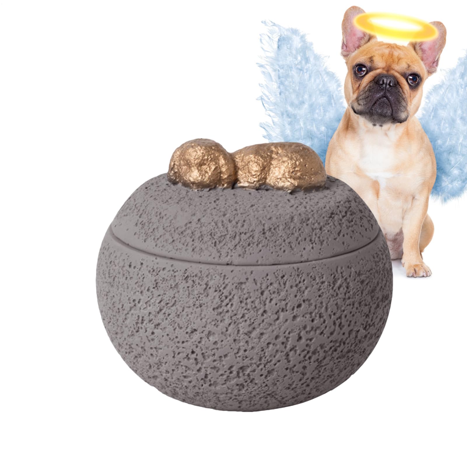 Urne funéraire stable pour chat et chien | Boîte souvenir en bois de haute qualité