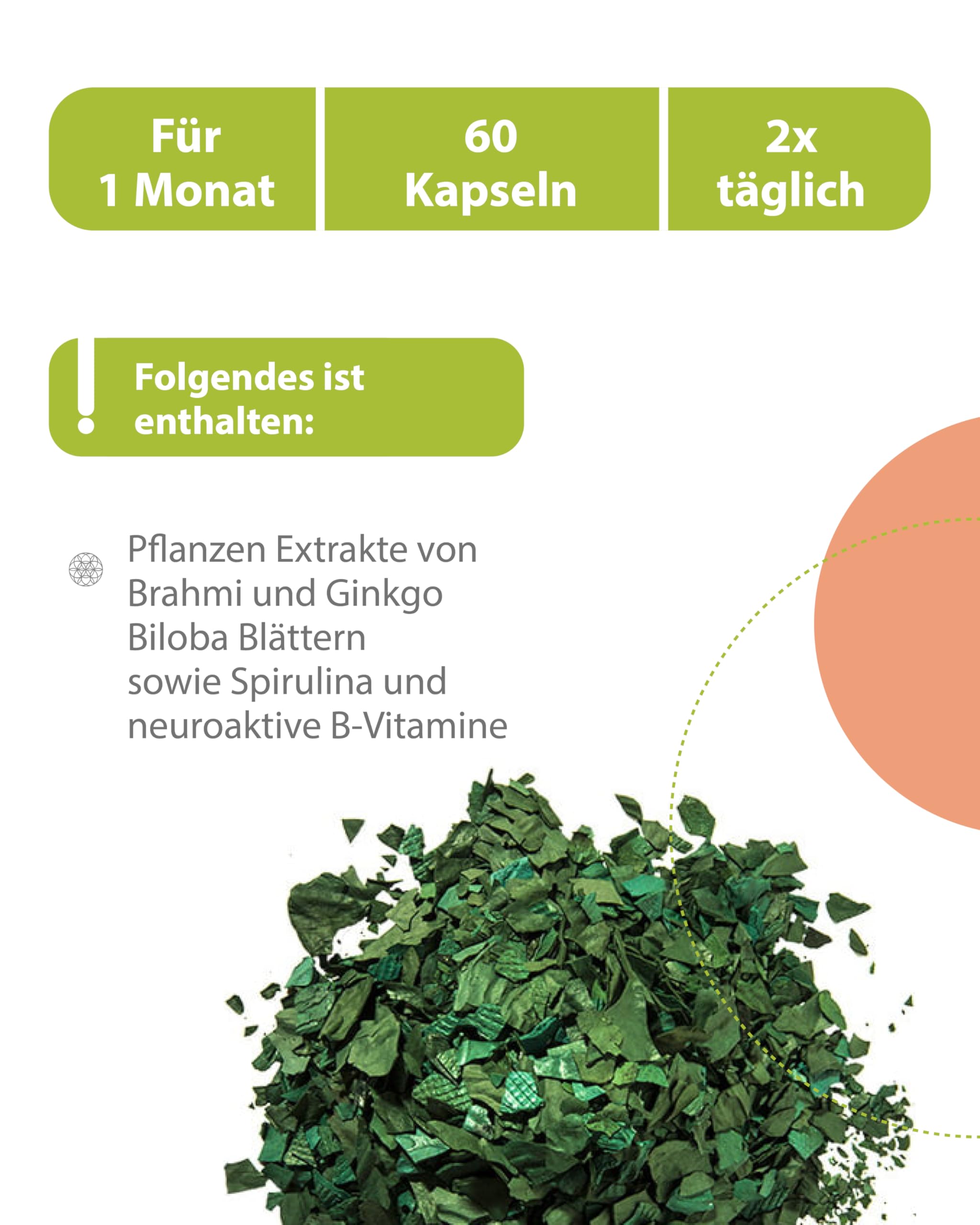 BRAHMI sCOOL Konzentrations- & Gehirn Kapseln zum Lernen 60 Stk. vegan - Mit Vitamin B5 Pantothensäure für normale geistige Leistung, Mit Brahmi, Ginkgo, Gojibeere & Zink, Vitamin C & D