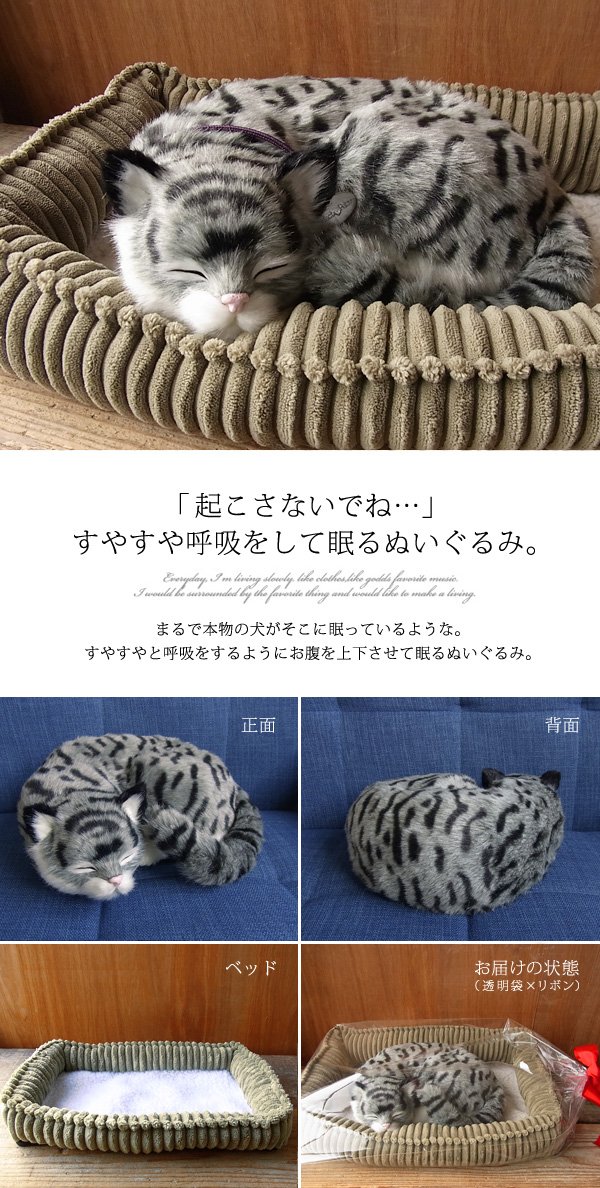 Amazon.co.jp: ニニアンドキノ パーフェクトペット (大サイズ