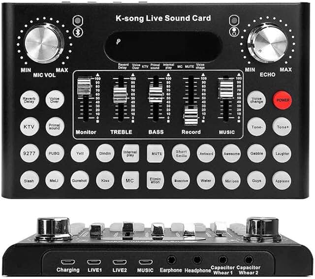 professional voice changer