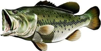 Large Mouth Bass Beautiful Fish Decal | Fishing decal for Boat, Car, Vehicle Truck Etc. | Waterproof Vinyl Sticker | Many Sizes & Styles Available | 12" to 40" By Digital Fish Art Medium, Position 6